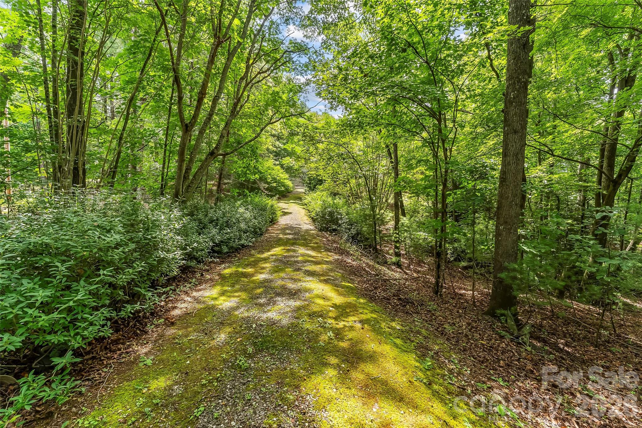 2040 Hampson Road Morganton, NC 28655 - Photo 4 of 14