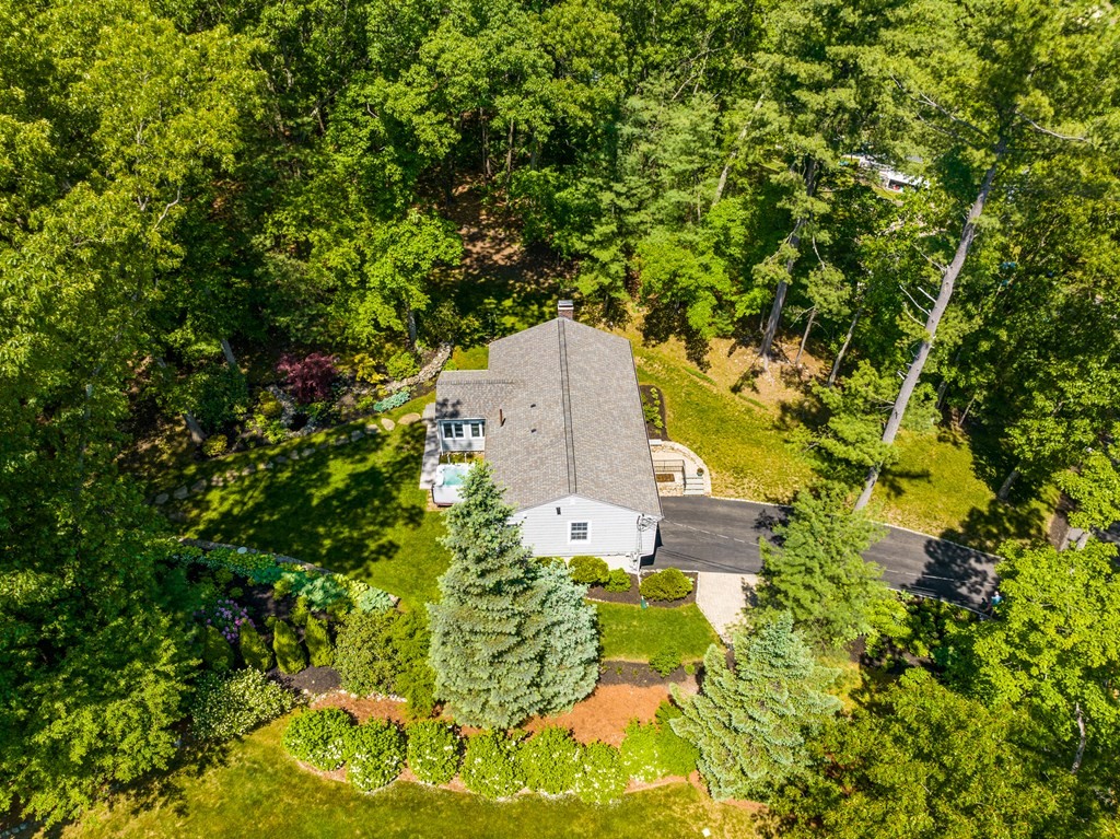 30 Eaton Road Framingham, MA 01701 - Photo 34 of 36 a picture of trees