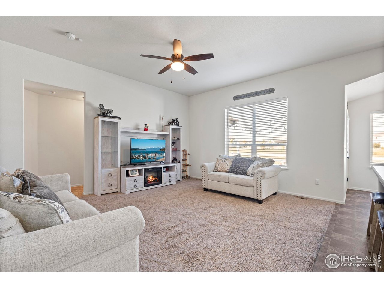 941 Barasingha Street Severance, CO 80550 - Photo 9 of 46 a living room with furniture and a flat screen tv