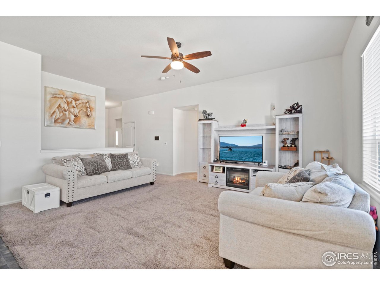 941 Barasingha Street Severance, CO 80550 - Photo 10 of 46 a living room with furniture and a flat screen tv