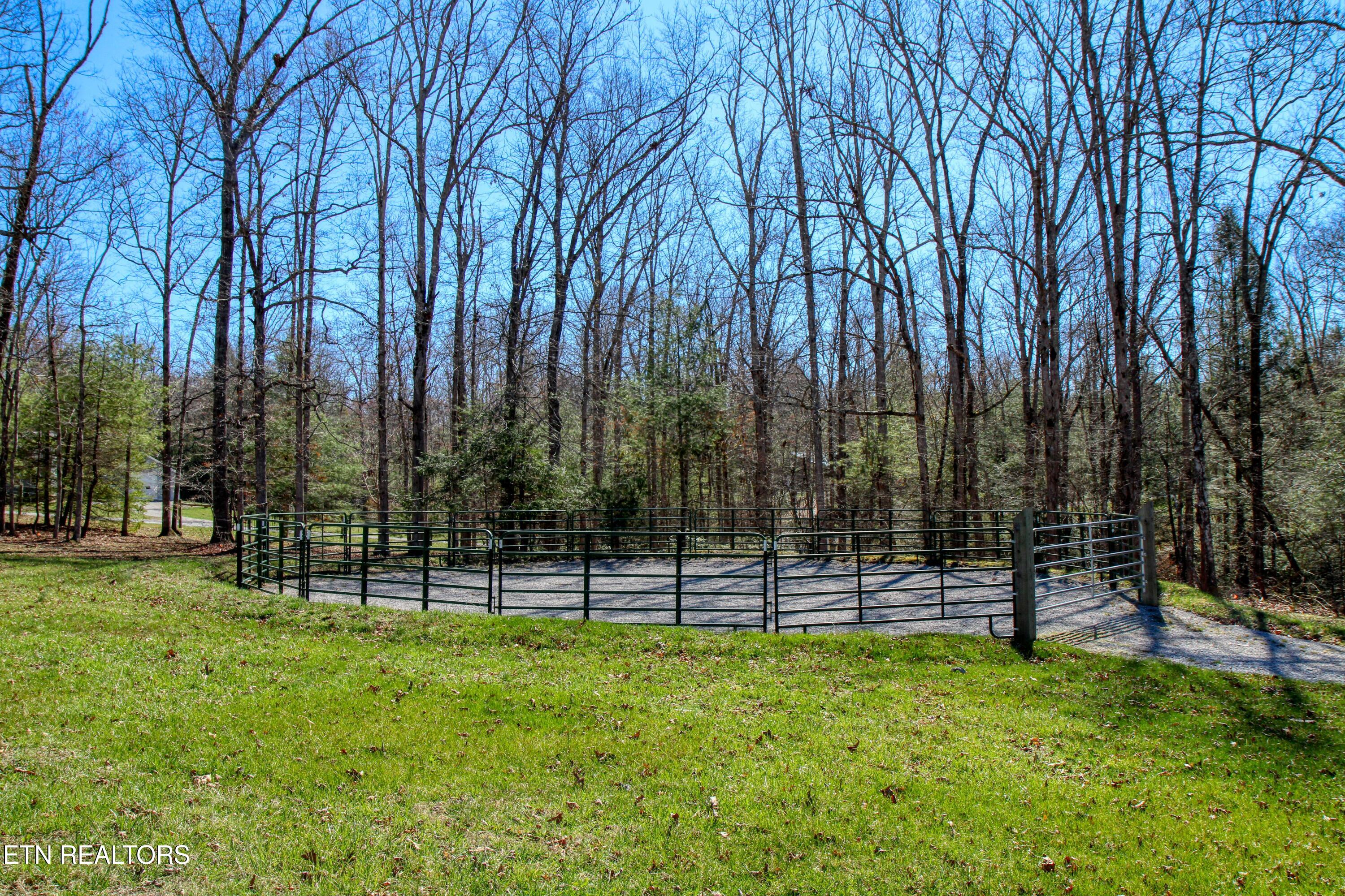 145 Horse Haven Road Allardt, TN 38504 - Photo 28 of 59 28