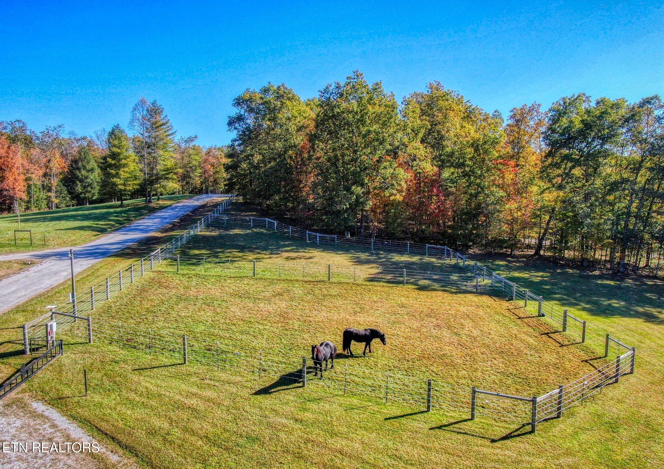 145 Horse Haven Road Allardt, TN 38504 - Photo 35 of 59 35