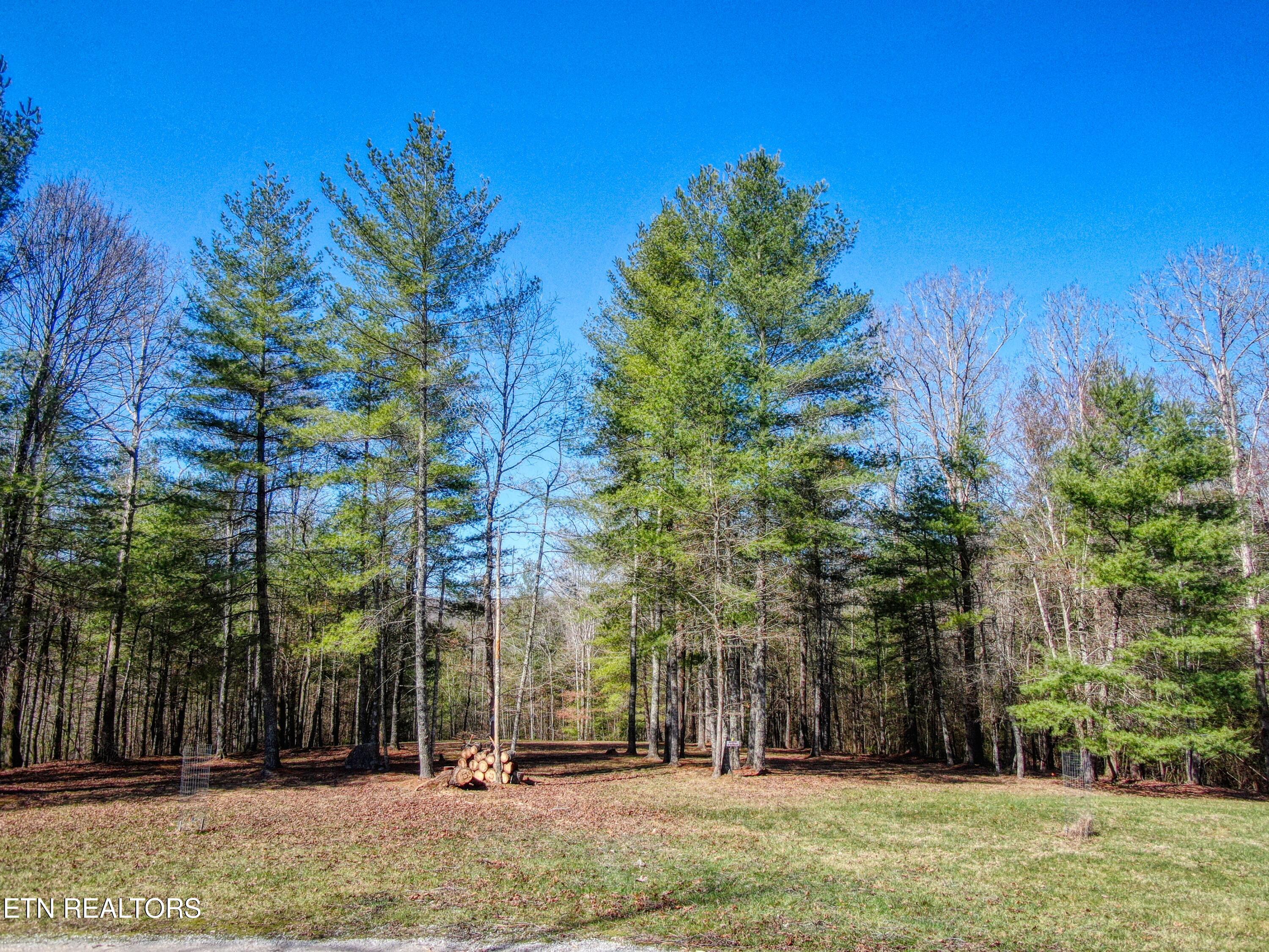 145 Horse Haven Road Allardt, TN 38504 - Photo 40 of 59 40