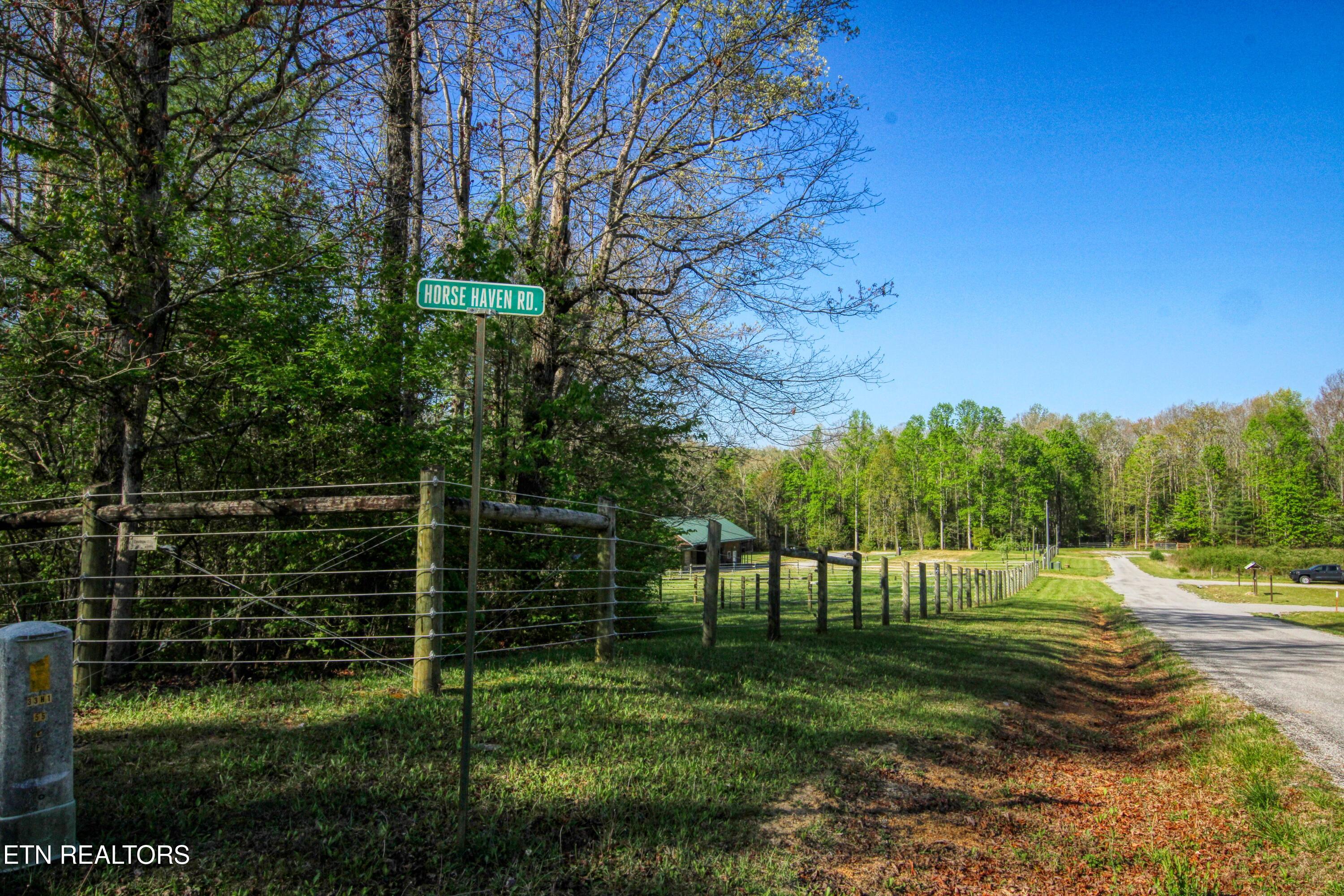 145 Horse Haven Road Allardt, TN 38504 - Photo 4 of 59 4