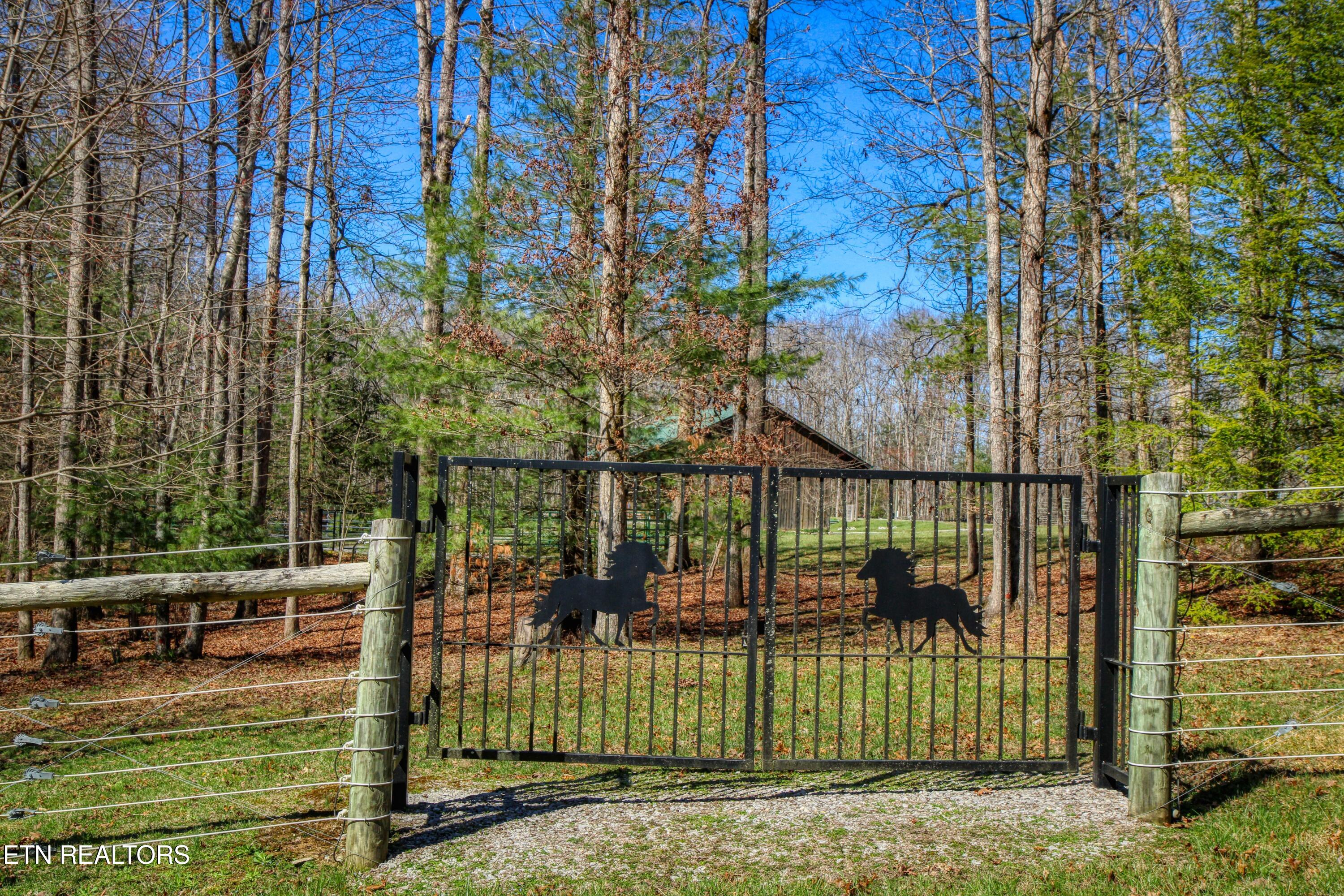 145 Horse Haven Road Allardt, TN 38504 - Photo 43 of 59 43