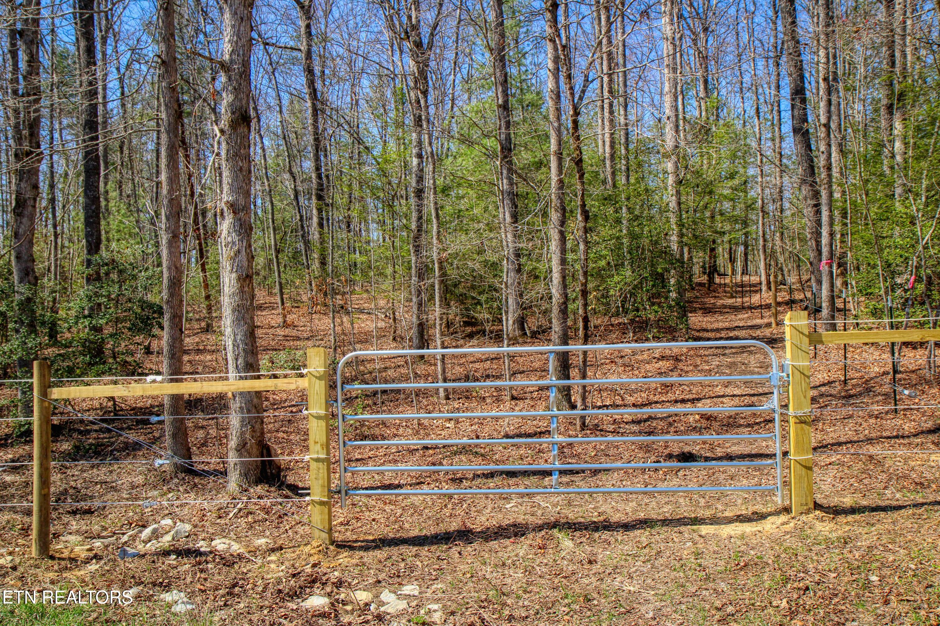145 Horse Haven Road Allardt, TN 38504 - Photo 45 of 59 45