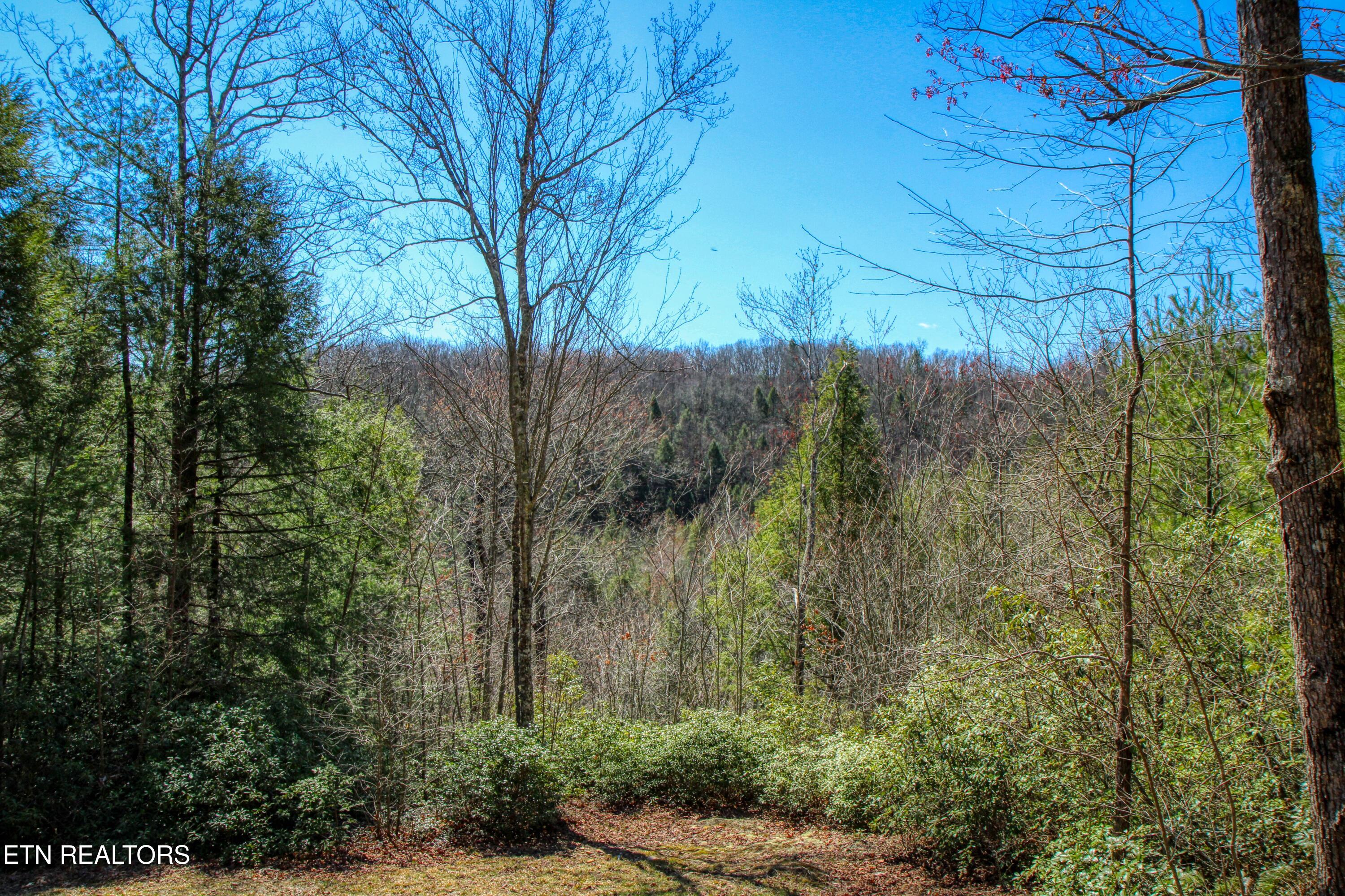145 Horse Haven Road Allardt, TN 38504 - Photo 50 of 59 50