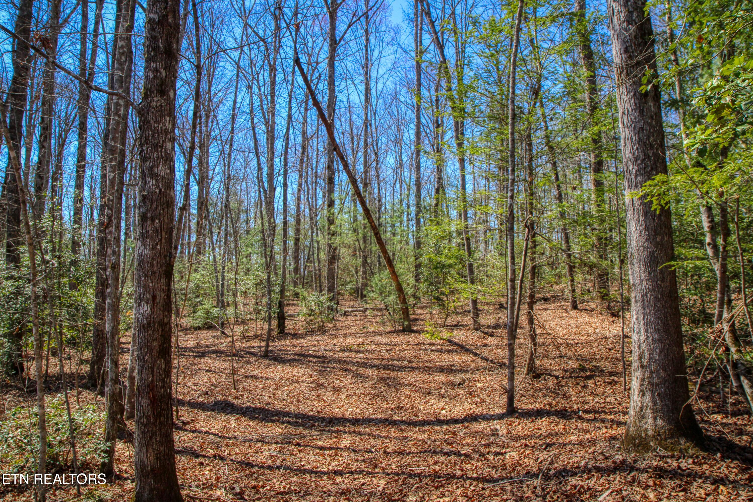 145 Horse Haven Road Allardt, TN 38504 - Photo 52 of 59 52
