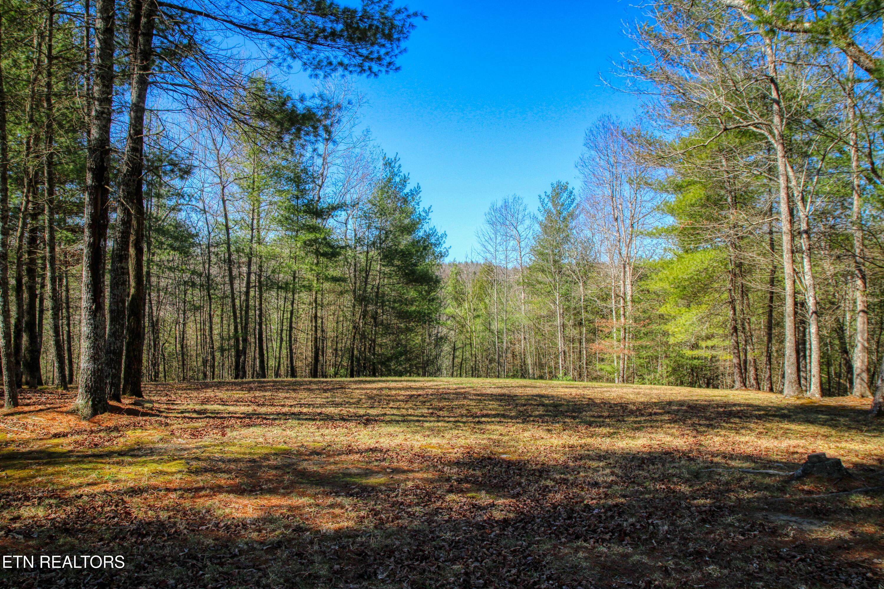 145 Horse Haven Road Allardt, TN 38504 - Photo 53 of 59 53