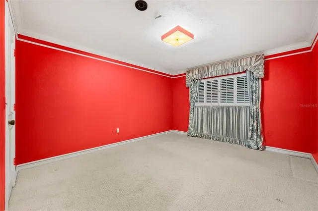 a view of a backyard with a garden and tree