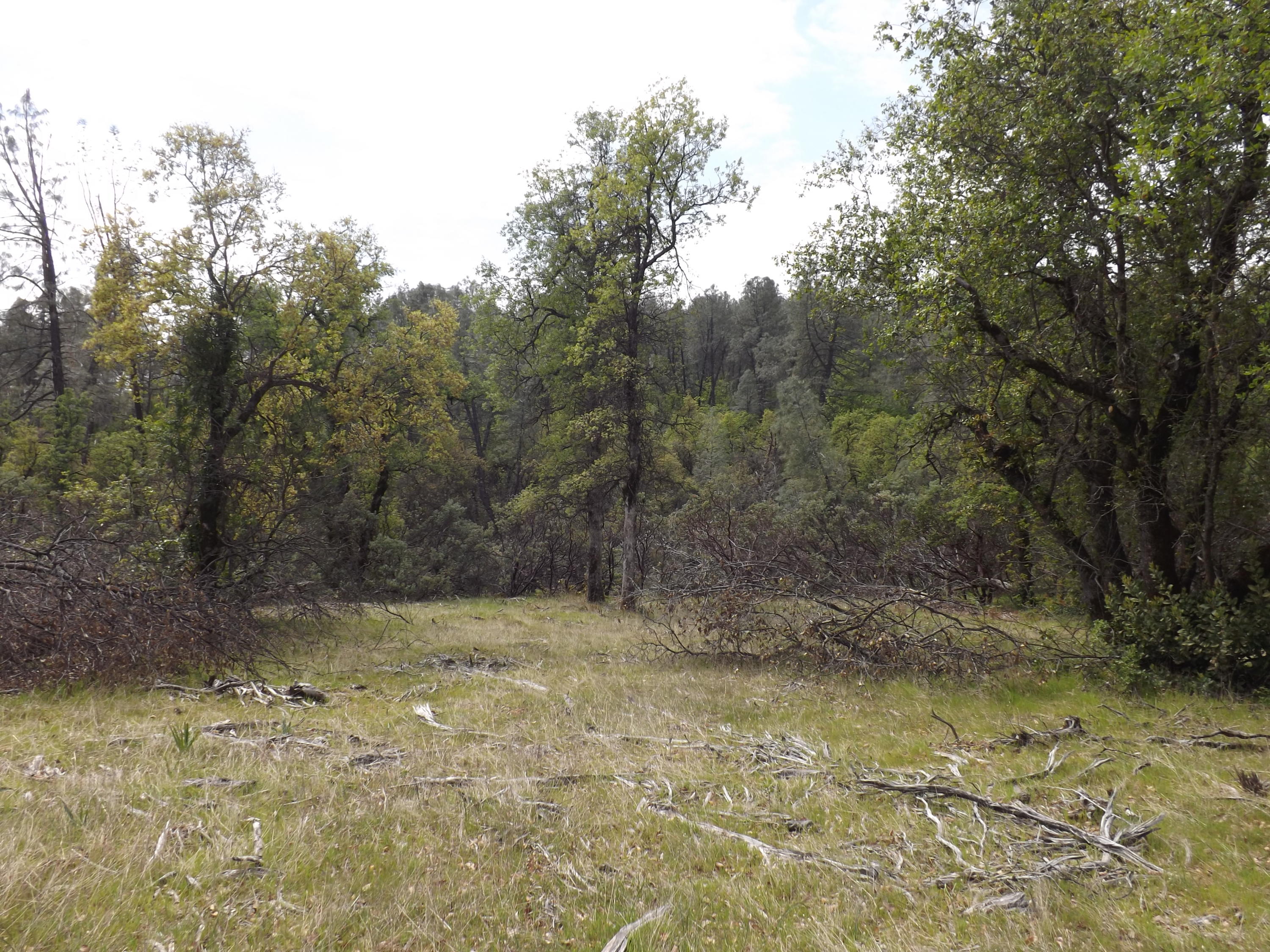 Lot 7 Silver King Road Redding, CA 96001 - Photo 8 of 14 DSCF9538