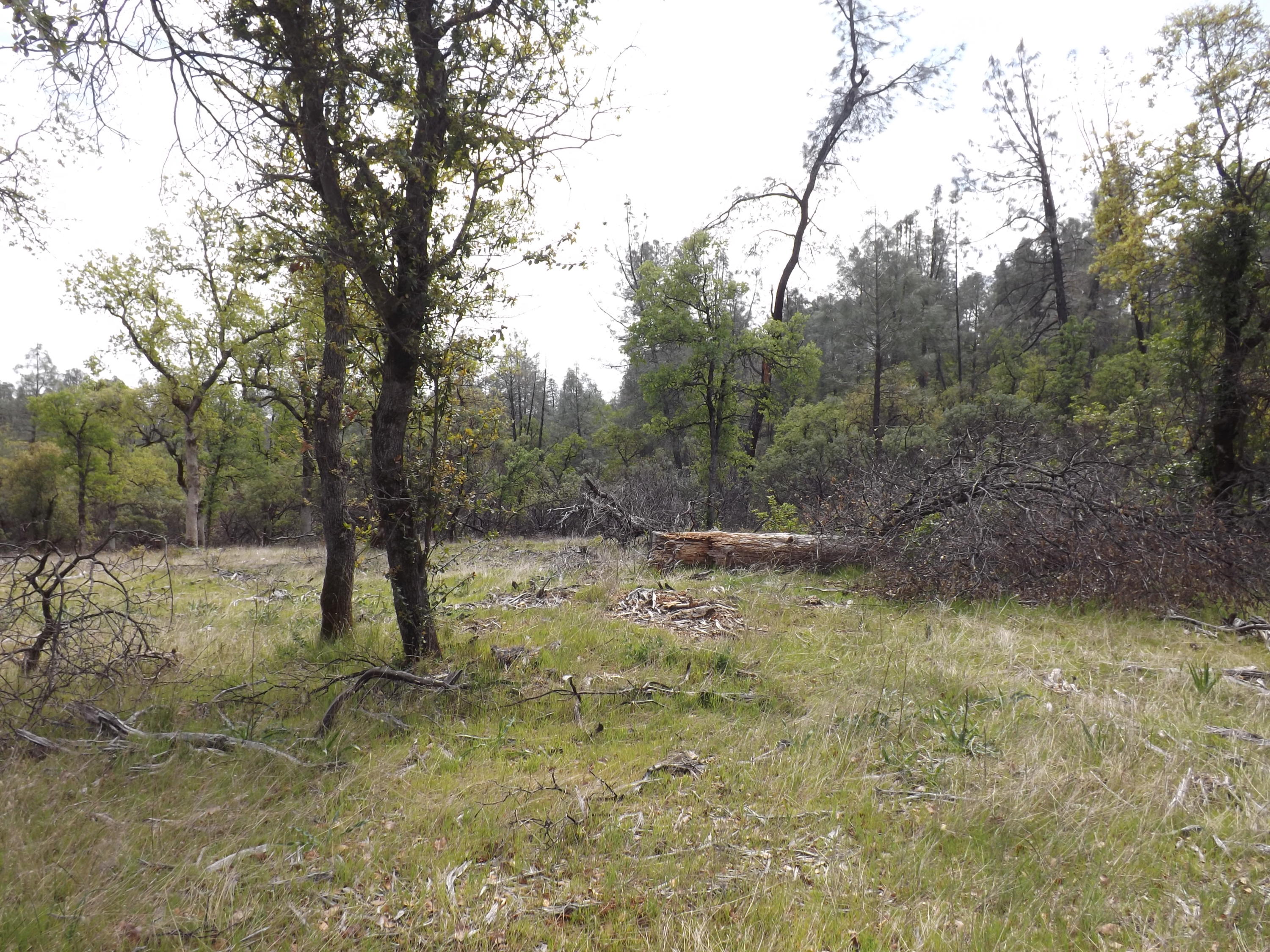 Lot 7 Silver King Road Redding, CA 96001 - Photo 9 of 14 DSCF9539