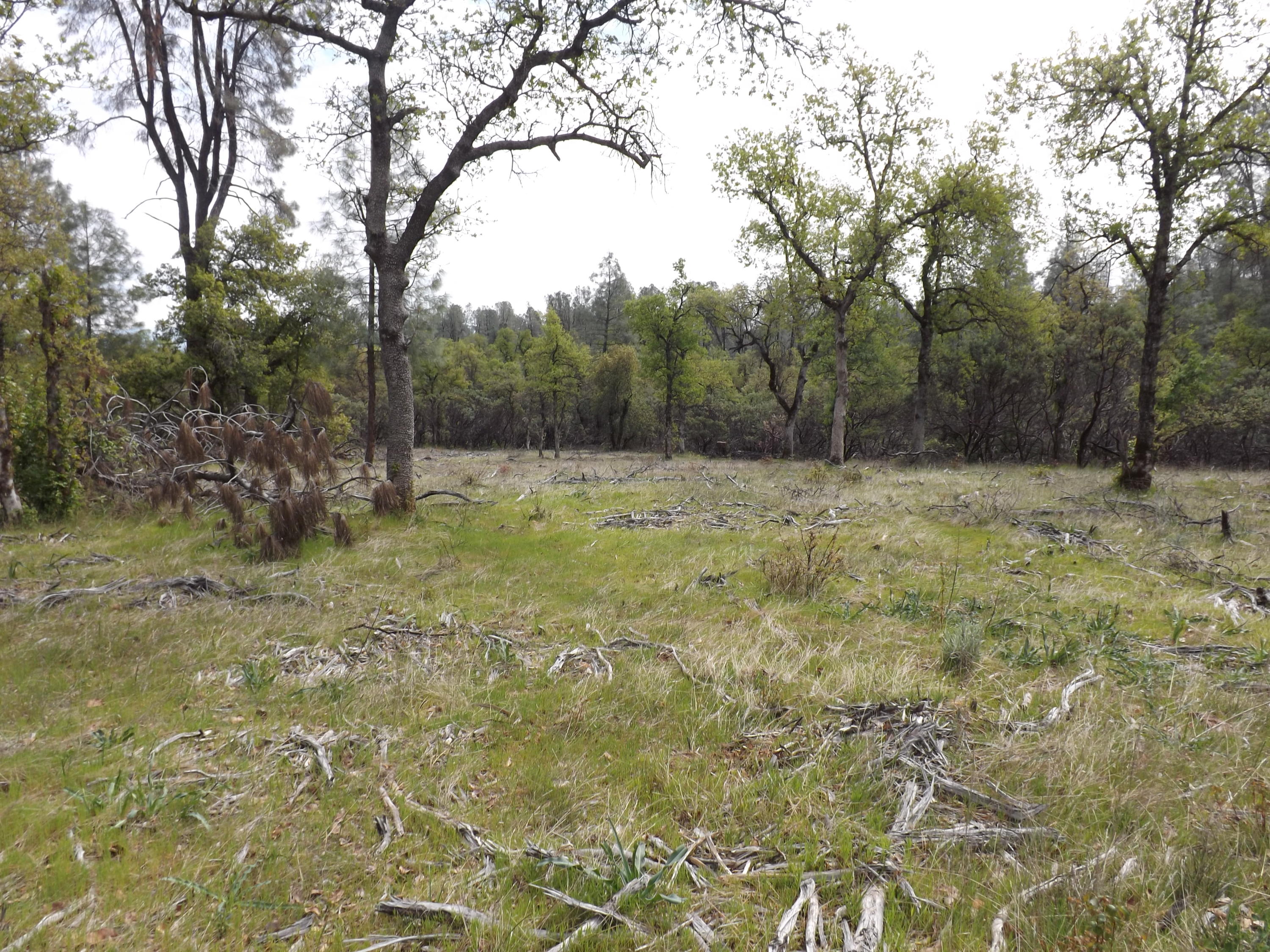 Lot 7 Silver King Road Redding, CA 96001 - Photo 10 of 14 DSCF9540