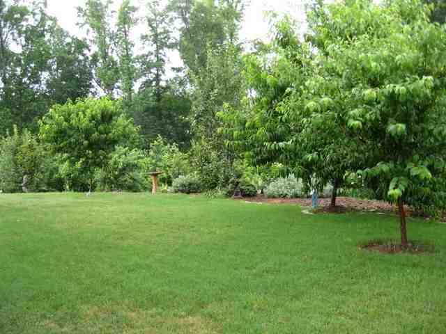 129 Appleton Lane Mauldin, SC 29662 - Photo 3 of 19 Gallery Image 3