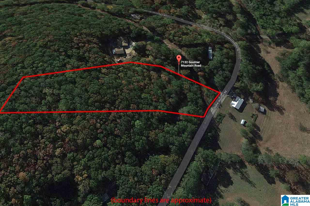 7132 Goodner Mountain Road Pinson, AL 35126 - Photo 5 of 14