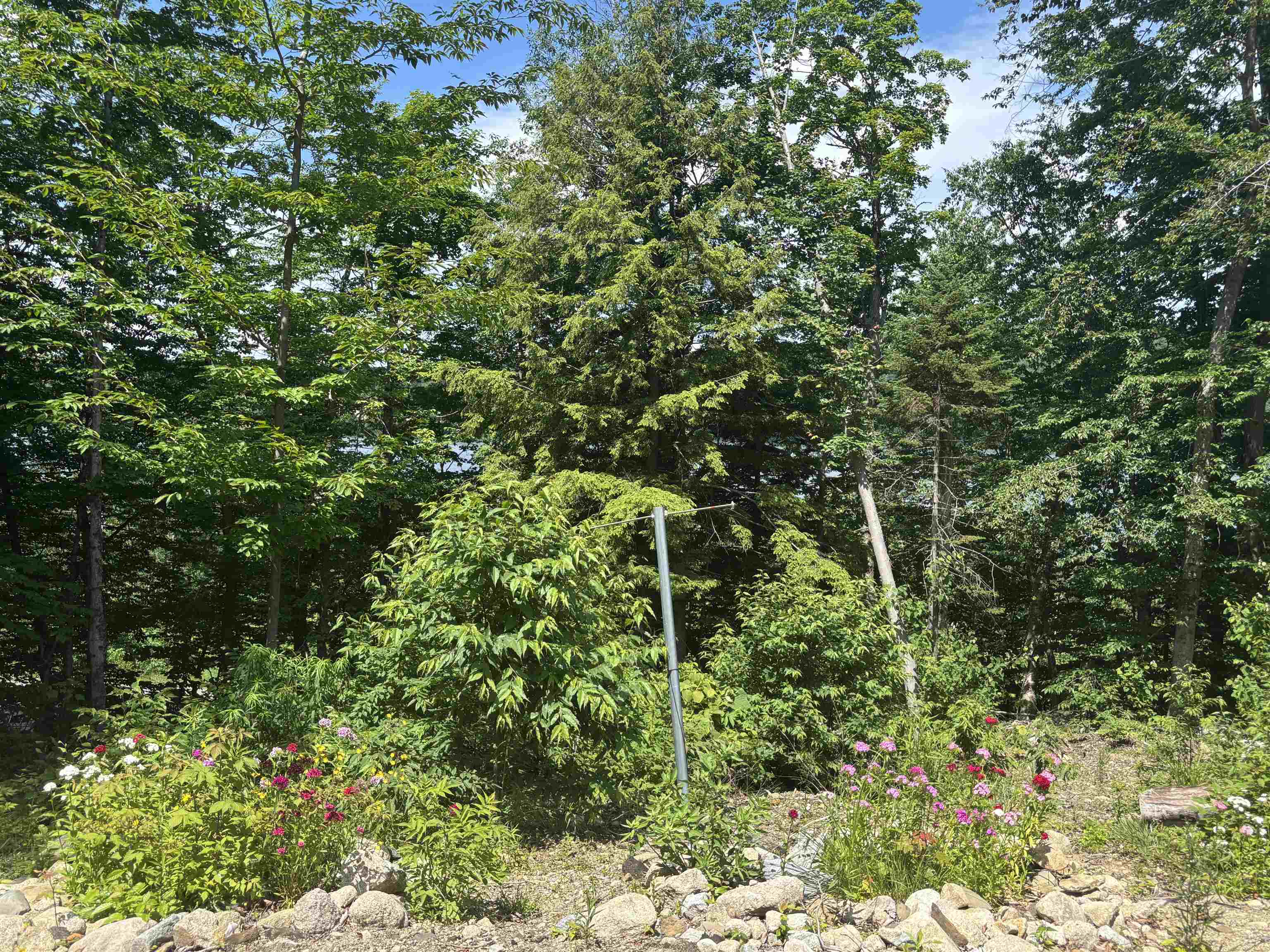 0 Vt Route 114 Norton, VT 05907 - Photo 12 of 45