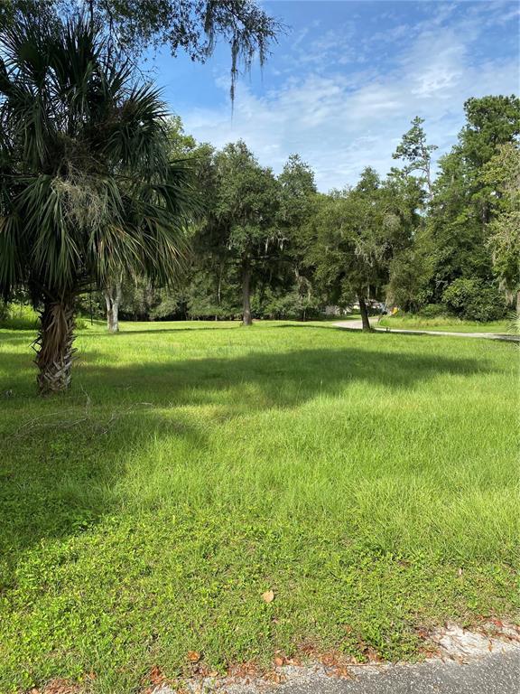 Cardinal Court Dunnellon, FL 34432 - Photo 1 of 1 a big yard with lots of green space