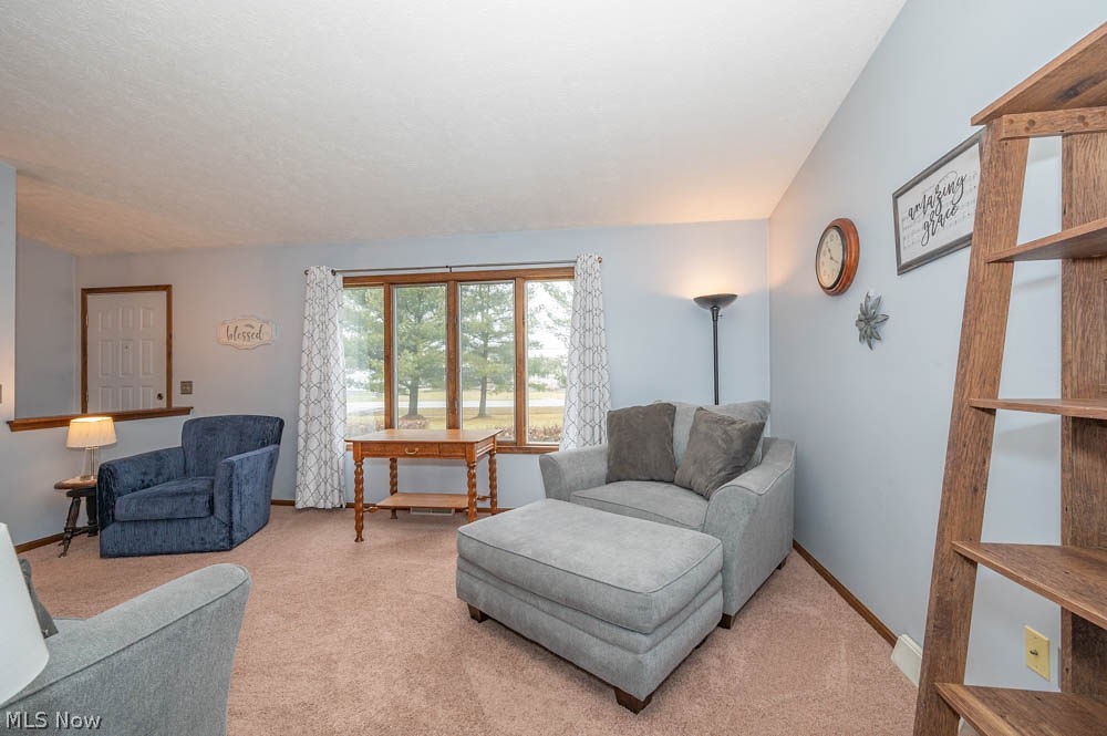 4957 East Calla Road New Middletown, OH 44442 - Photo 5 of 46 Gallery Image 5