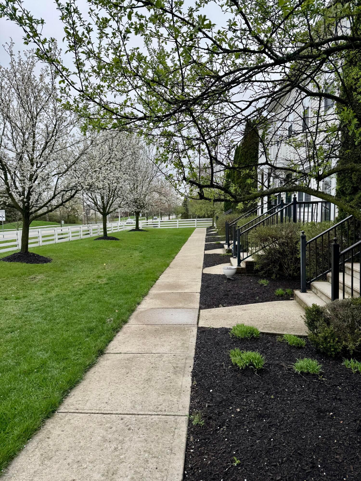 707 Lazelle Road Westerville, OH 43081 - Photo 22 of 26 Sidewalk