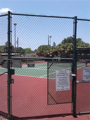 a view of a yard with plants and large trees