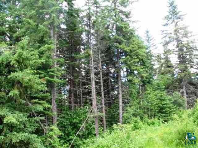 Xx Pike Lake Road Grand Marais, MN 55604 - Photo 2 of 2