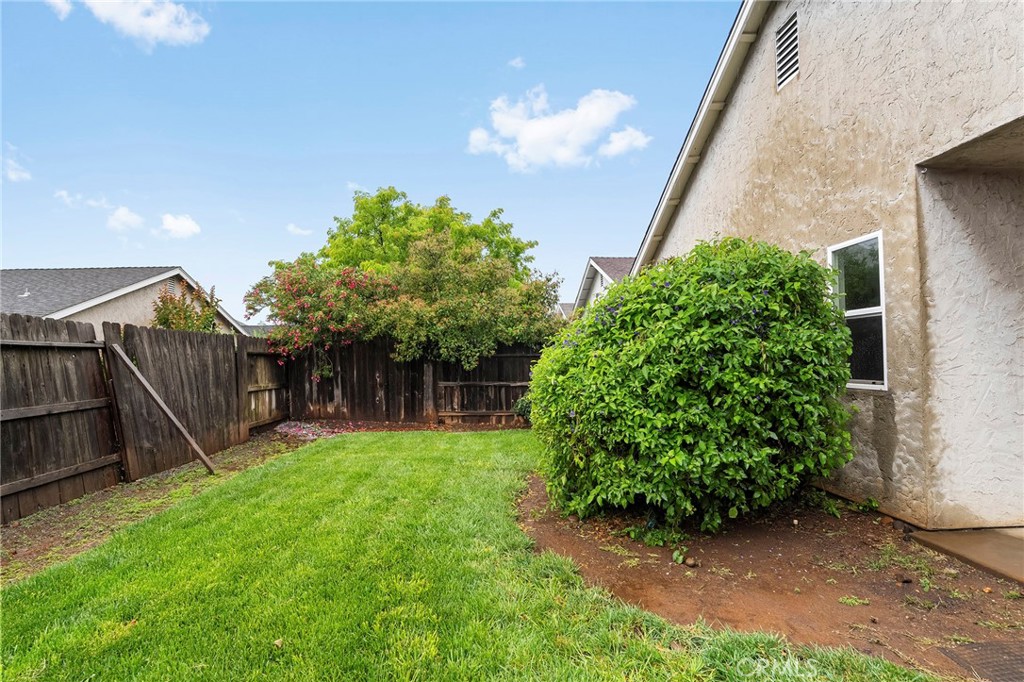 1397 Lucy Way Chico, CA 95973 - Photo 5 of 37 a view of a backyard with potted plants and large tree