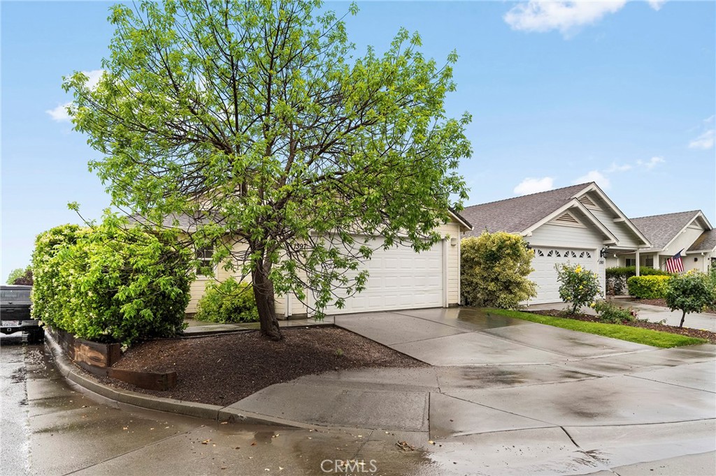 1397 Lucy Way Chico, CA 95973 - Photo 10 of 37 a view of a house with a tree and plants