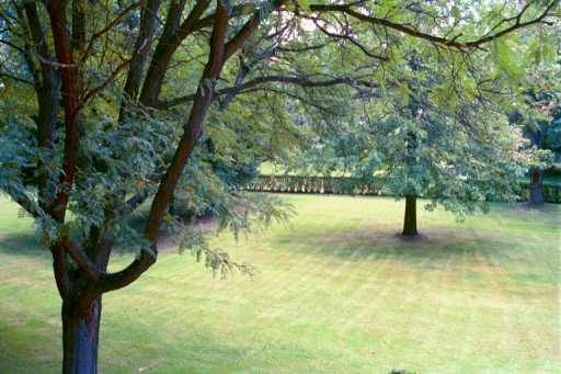 208 Dorseyville Road Pittsburgh, PA 15215 - Photo 5 of 6 Yard/Garden.