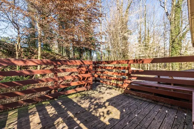 a bench sitting in front of a tree