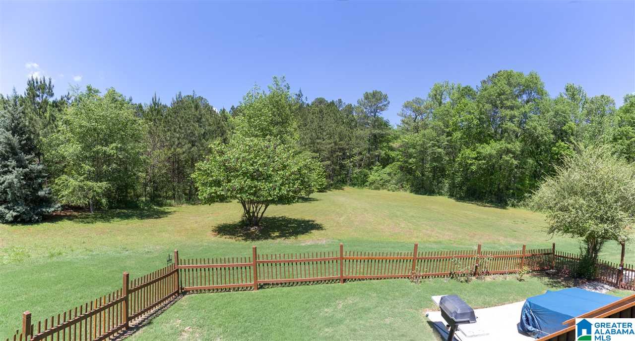 92 Glen Trace Springville, AL 35146 - Photo 31 of 34