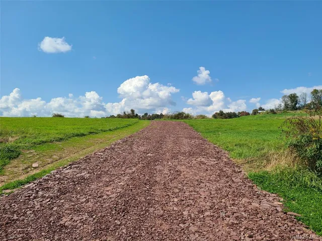 a view of yard with green space