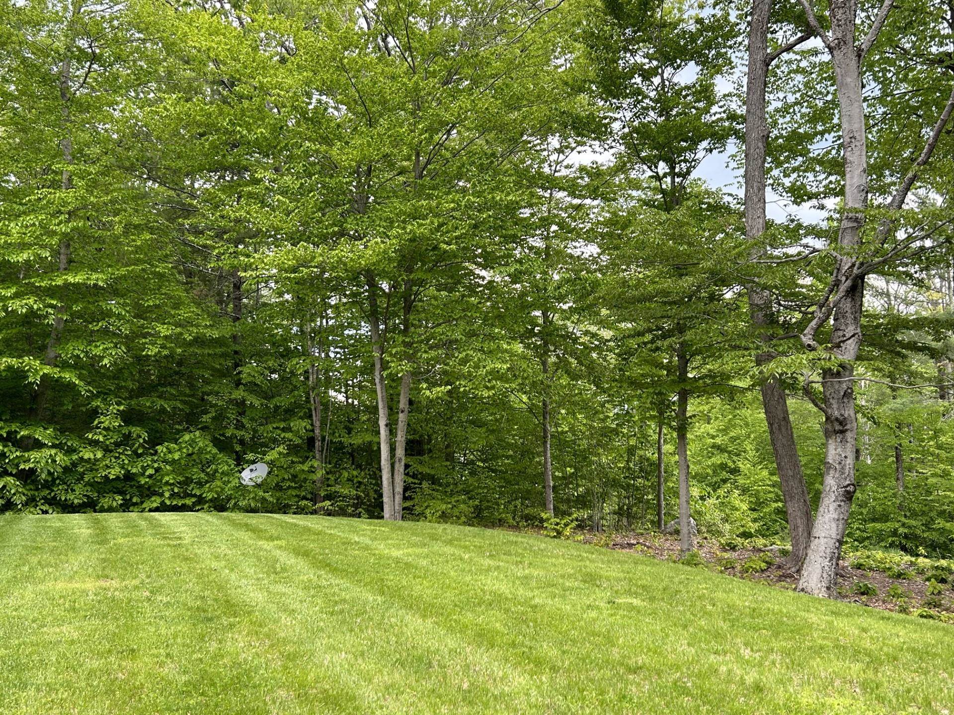 97 Cider Mill Road Surry, NH 03431 - Photo 33 of 33