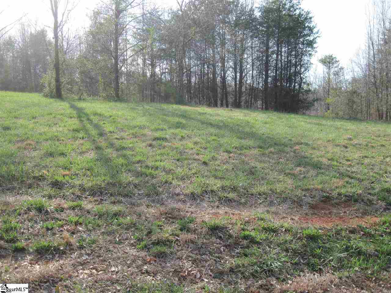 1050 River Road Greer, SC 29651 - Photo 2 of 3