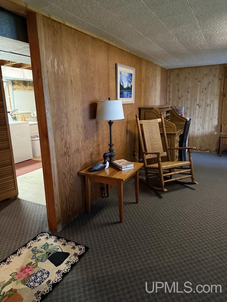 N7665 Millecoquin Lake Road Engadine, MI 49827 - Photo 81 of 83