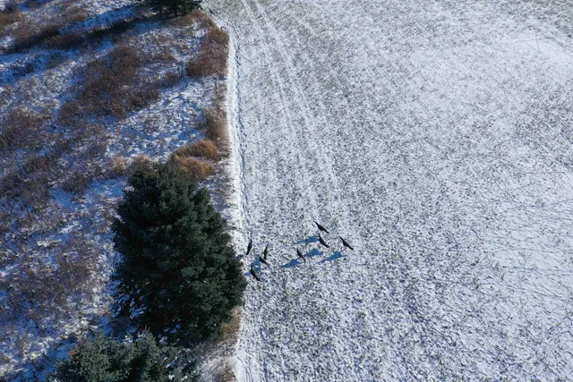 $1,700,000 | Old Military Road, Unit 1A, De Pere, WI 54115