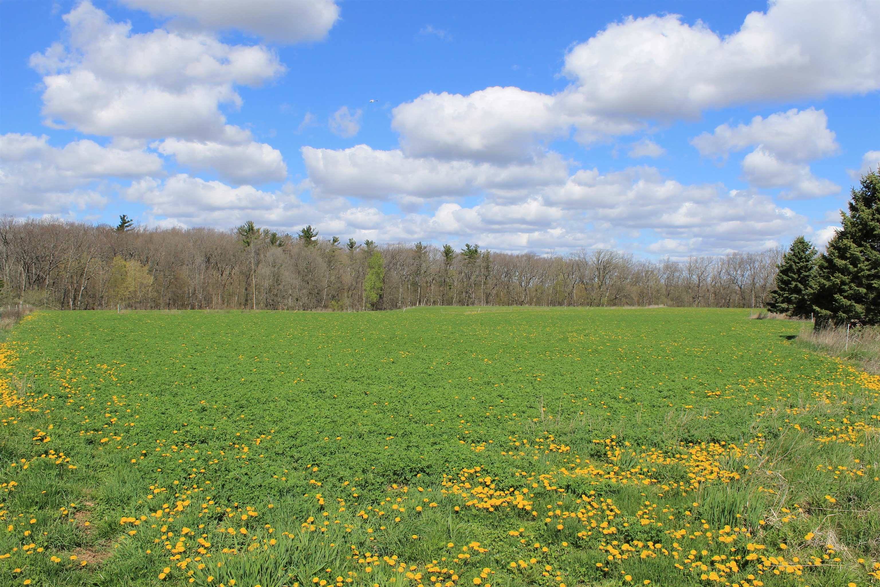 Old Military Road, Unit 1A De Pere, WI 54115 - Photo 12 of 35
