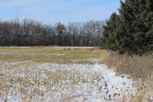 $1,700,000 | Old Military Road, Unit 1A, De Pere, WI 54115