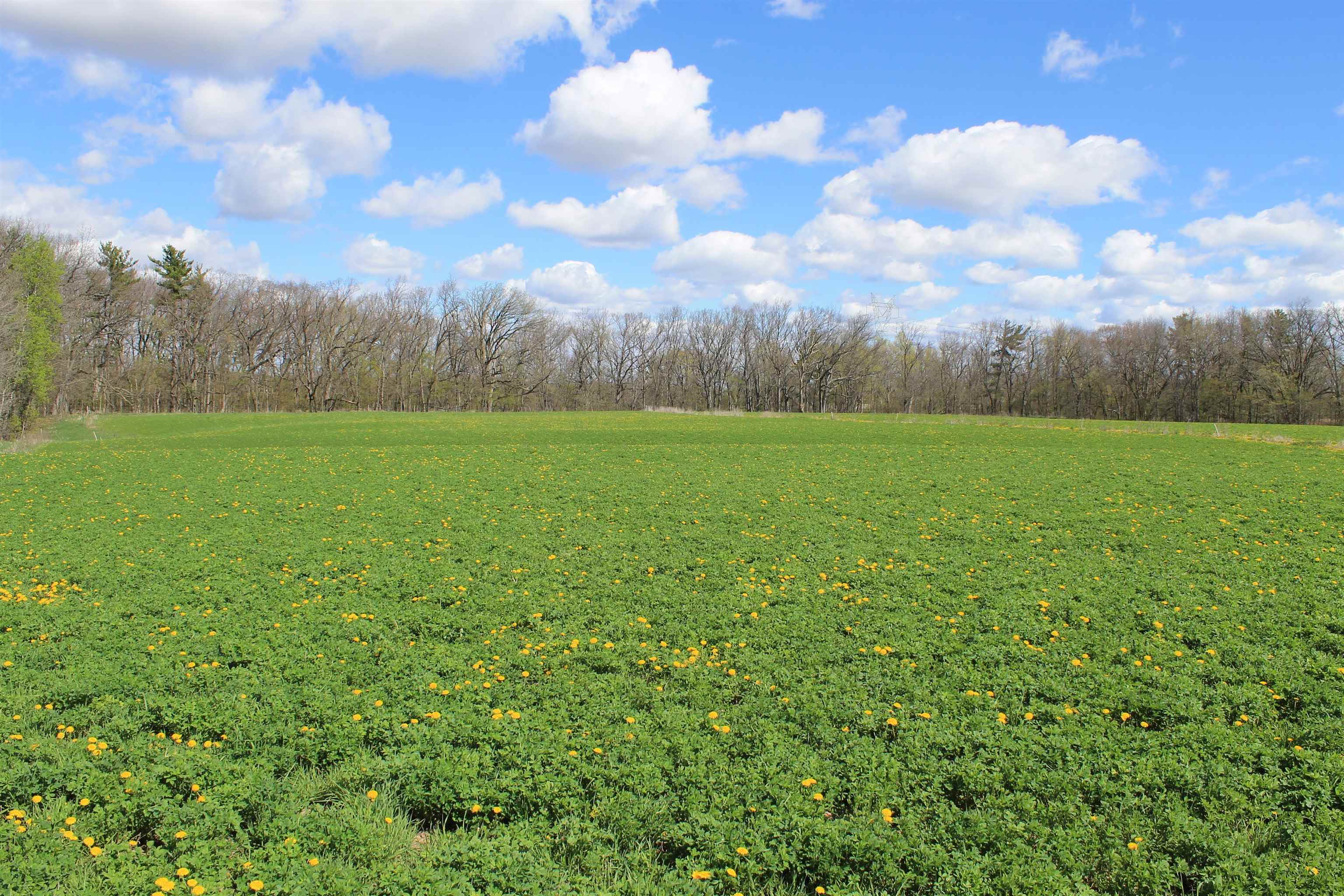Old Military Road, Unit 1A De Pere, WI 54115 - Photo 13 of 35