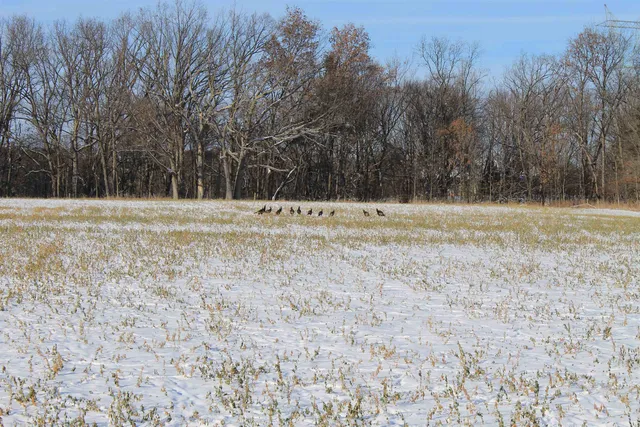 $1,700,000 | Old Military Road, Unit 1A, De Pere, WI 54115