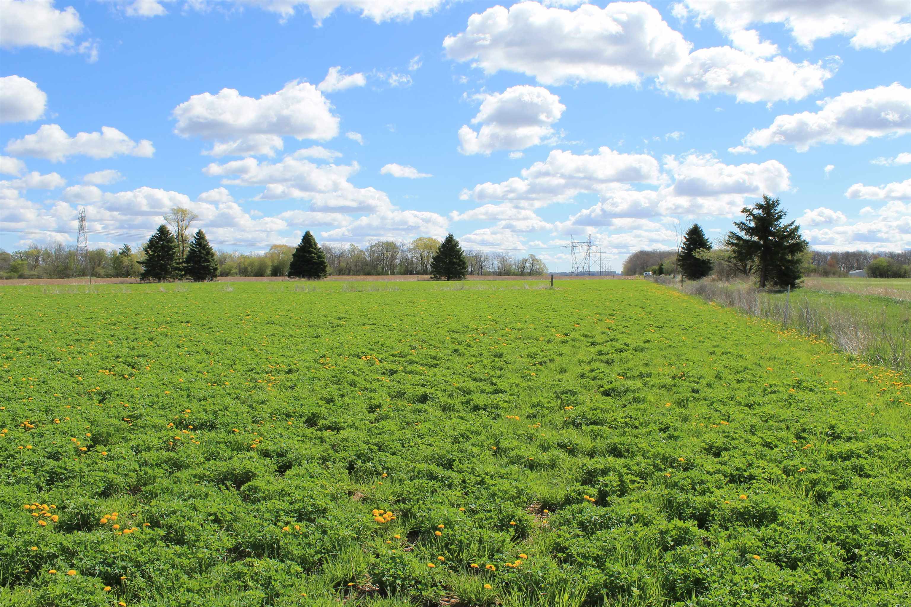 Old Military Road, Unit 1A De Pere, WI 54115 - Photo 14 of 35