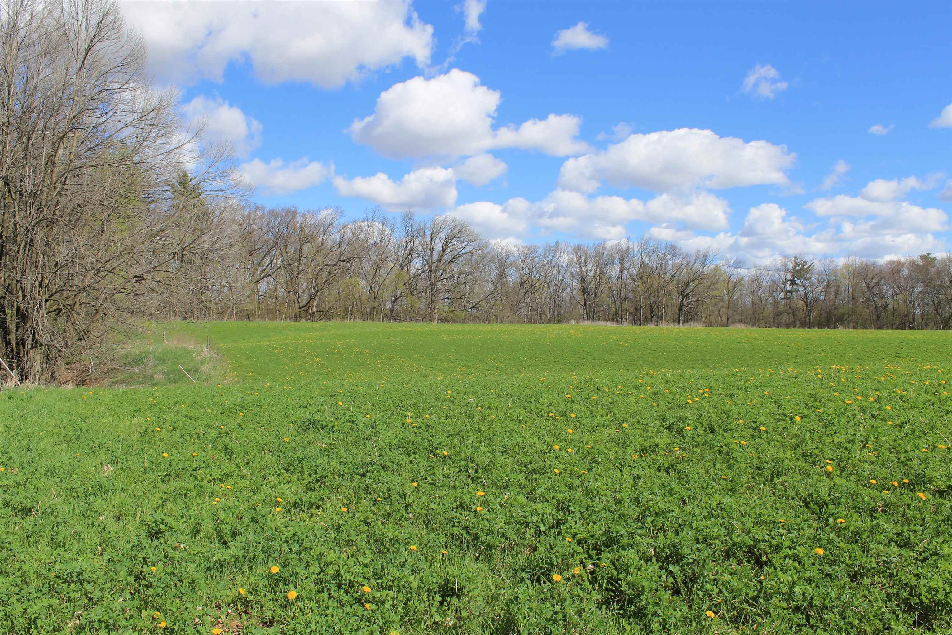 Old Military Road, Unit 1A De Pere, WI 54115 - Photo 15 of 35