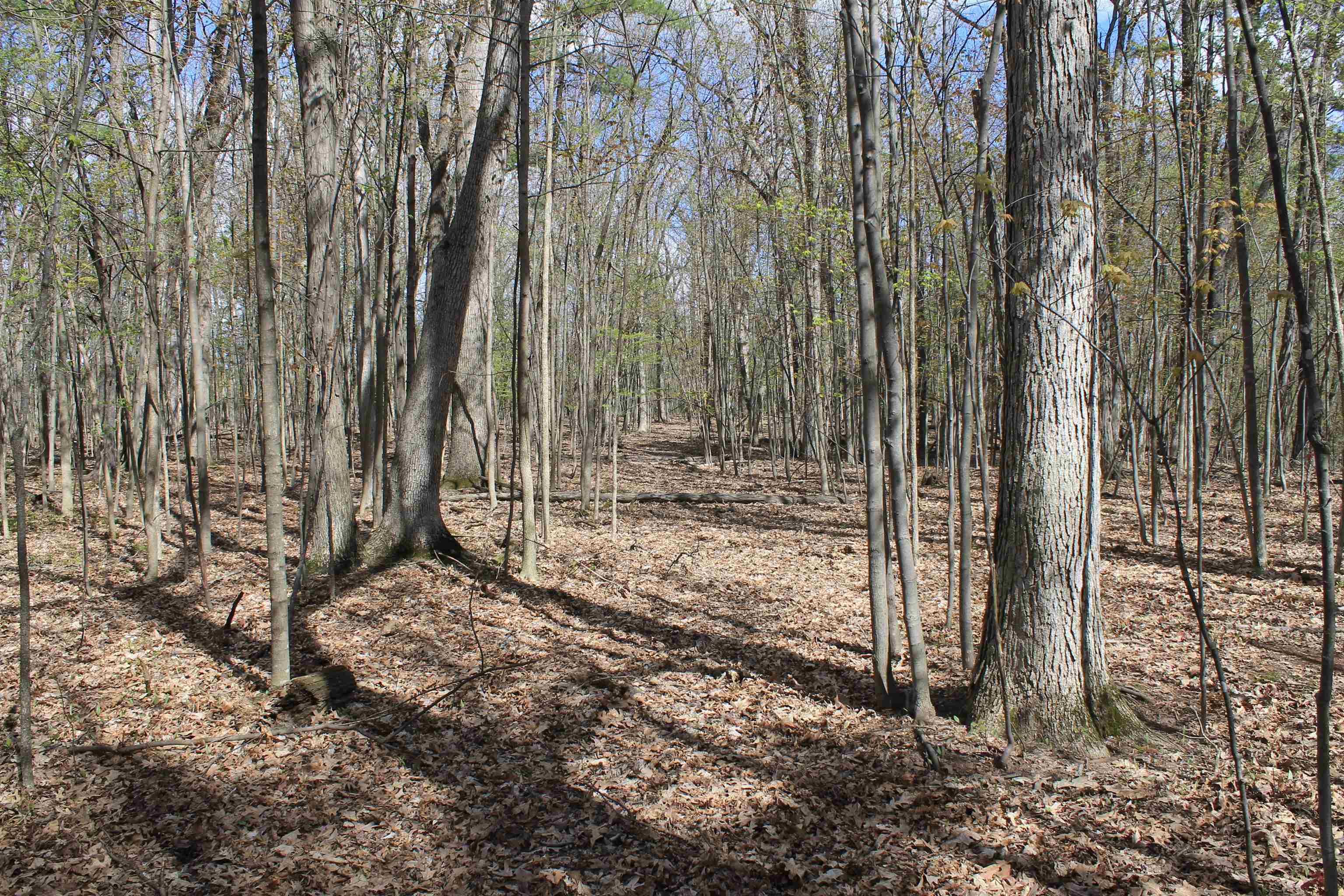 Old Military Road, Unit 1A De Pere, WI 54115 - Photo 16 of 35