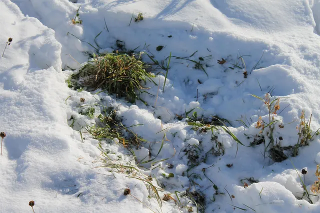 $1,700,000 | Old Military Road, Unit 1A, De Pere, WI 54115