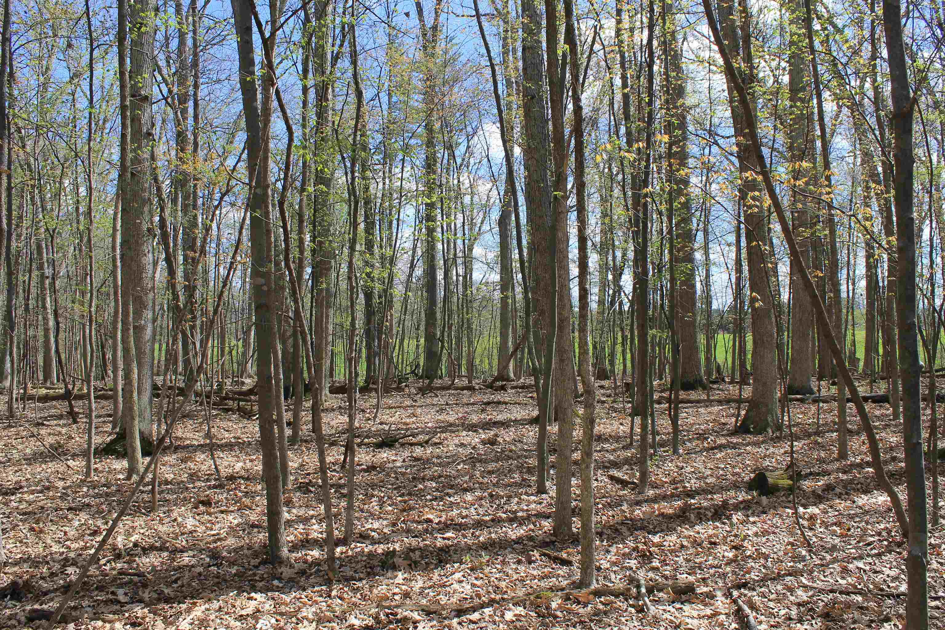 Old Military Road, Unit 1A De Pere, WI 54115 - Photo 17 of 35