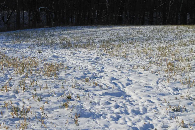 $1,700,000 | Old Military Road, Unit 1A, De Pere, WI 54115