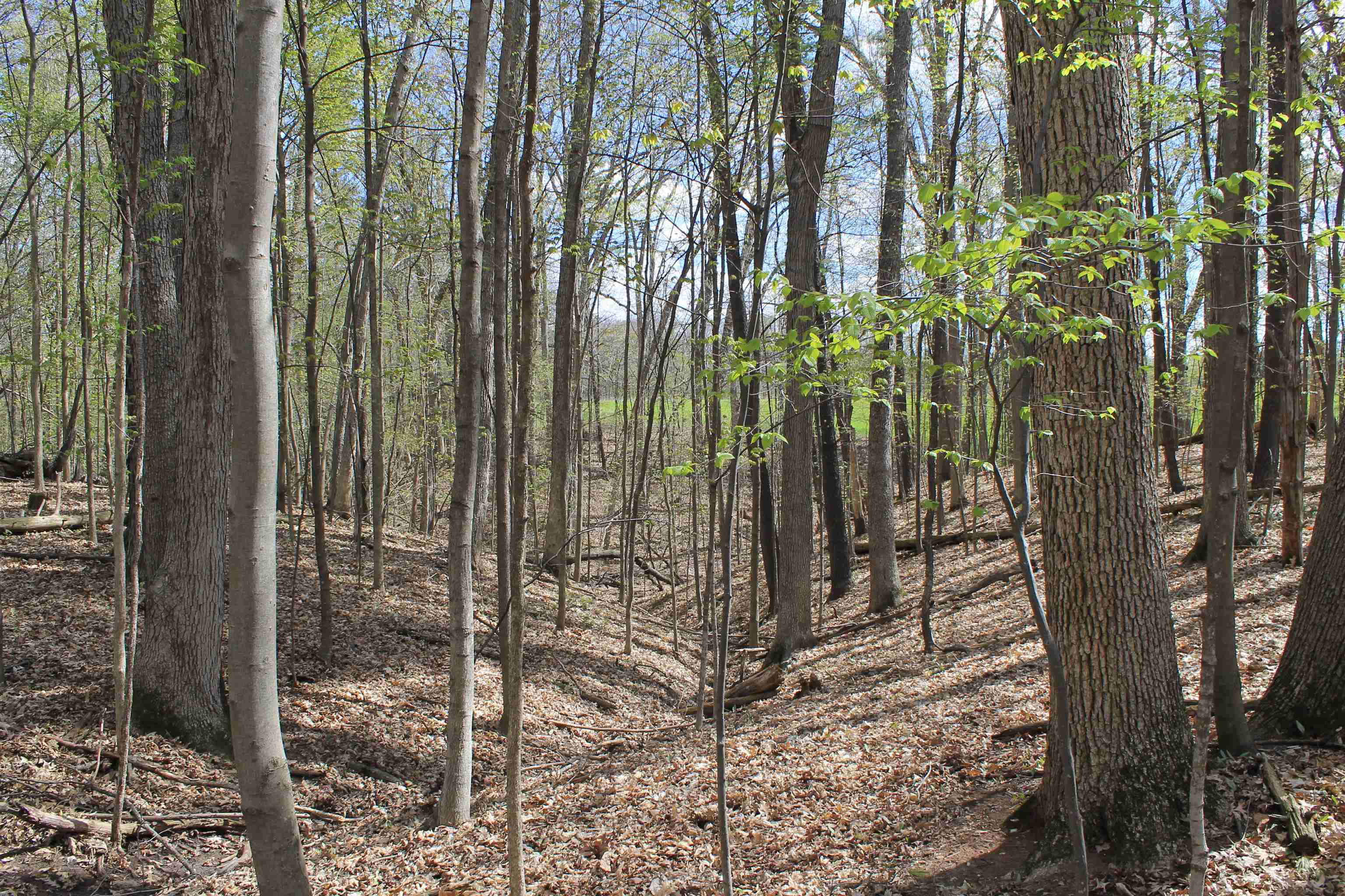 Old Military Road, Unit 1A De Pere, WI 54115 - Photo 18 of 35