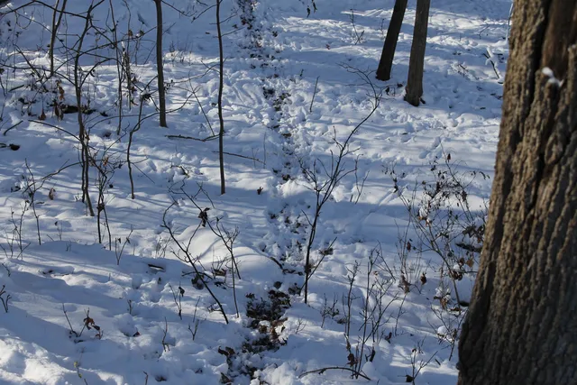 $1,700,000 | Old Military Road, Unit 1A, De Pere, WI 54115