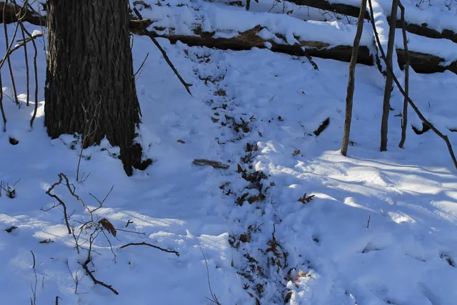 $1,700,000 | Old Military Road, Unit 1A, De Pere, WI 54115