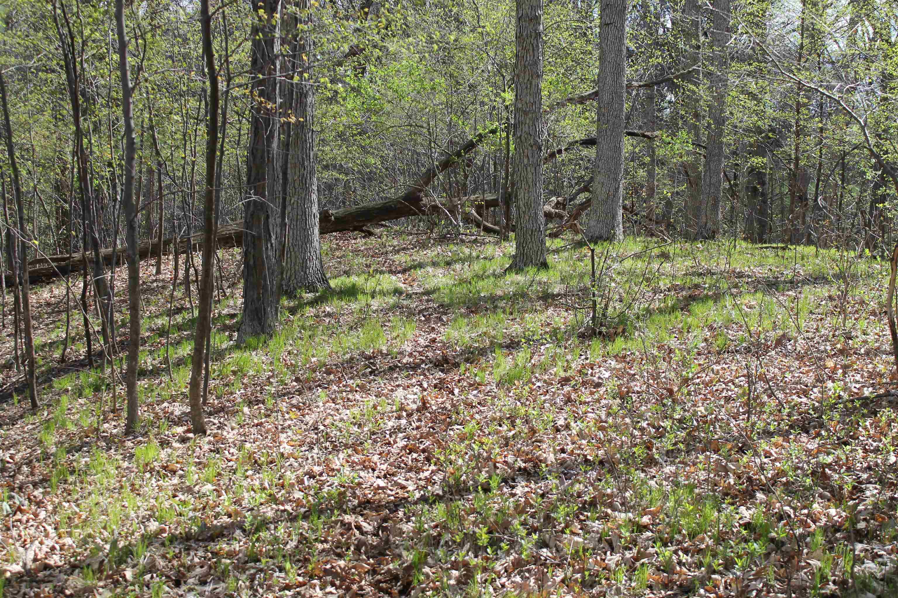 Old Military Road, Unit 1A De Pere, WI 54115 - Photo 22 of 35