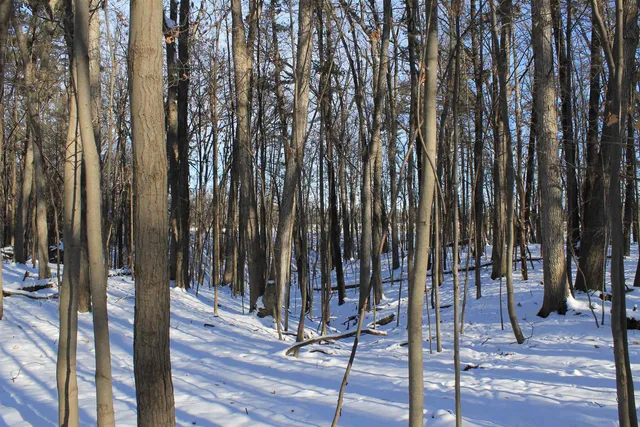 $1,700,000 | Old Military Road, Unit 1A, De Pere, WI 54115